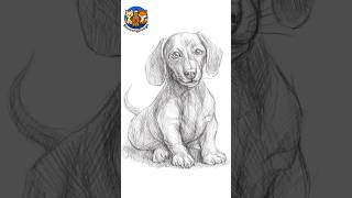 How to Draw a Dachshund Dog 🐶 | Easy Step-by-Step Drawing for Beginners