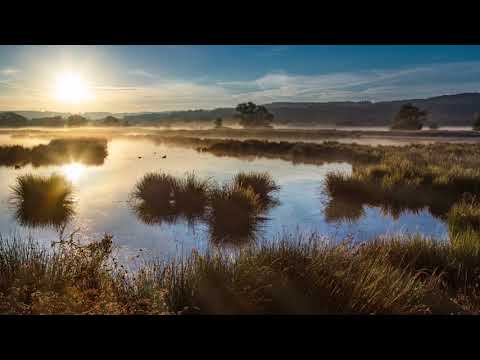 Caoineadh Cú Chulainn (Bill Whelan & Davy Spillane).