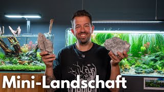Mini-Landschaft im Aquarium? Darauf MUSST du achten!