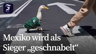 Hausente „Merlin“ übernimmt heimlich Maskottchenposten der WM