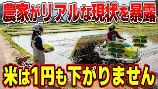 【バイク乗り農家】メディアが報じないお米大暴落の裏側…現場の経費がガチでヤバい！