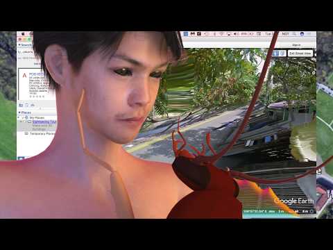 Pest to Power – an introduction