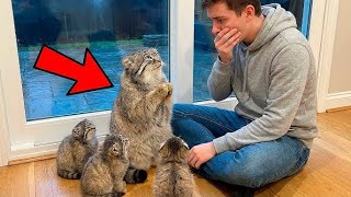 Download lagu She Was Crying for Help in the Rain… I Saved Her, and Everything Changed mp3