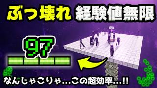 【統合版】石と葉で作れる経験値トラップの作り方！最強効率で経験値を無限に！【マイクラ/PE/Switch/スマホ/PS4/PS5/Xbox】
