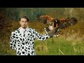 Bbno It Boy Official Music Video