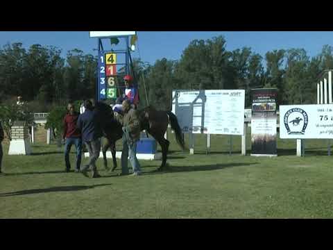 HIPODROMO SINT MELO - 220520 c03 1° DJOKOVIC