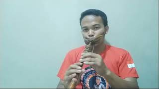 Download lagu ( hikmah diri) instrumen tarompet #cover #tarompet #instrumental #ohan mp3 Download lagu ( hikmah diri) instrumen tarompet #cover #tarompet #instrumental #ohan mp3