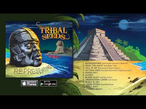 Tribal Seeds - Don't Wait [OFFICIAL AUDIO]