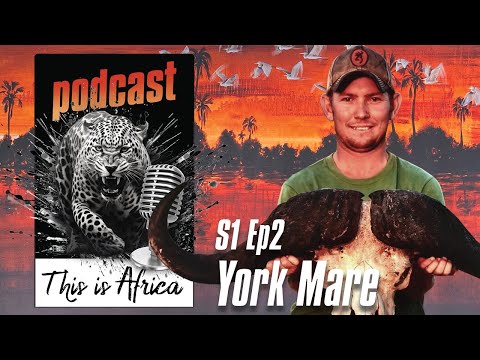 This Is Africa Podcast S1 Episode 2 York Mare