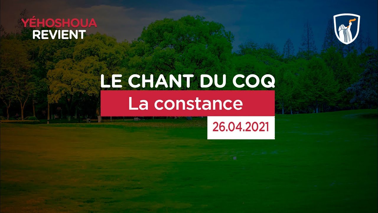 Thumbnail of video: La constance