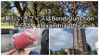 【シドニーで働く50代】13. あたらしいオフィスはBondi Junction / さらば、Alexandria Office