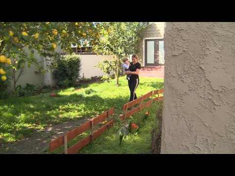 冠狀病毒導致抵押貸款利率下降 (Coronavirus drives down mortgage rates)