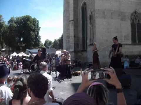 Luc Arbogast "Nous nous hâtons vers la mort" Cour du Château à Châteudun 2 7 2011