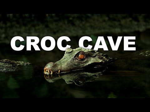 Divers Uncover Crocodile Cave's Dark Secrets In Botswana | CROCODILE LABYRINTH | Wild Waters