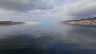 the first minke whale of 24.4.2022