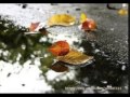 Autumn Leaves -patricia kaas 