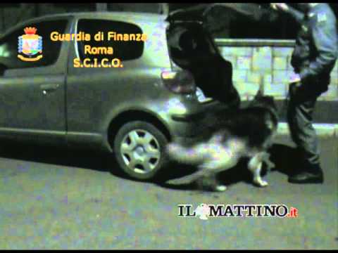 Riciclaggio e traffico di droga a Roma: 23 arresti - www.ilmattino.it
