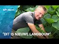 Iedereen kan zijn eigen eten verbouwen in deze zelfoogsttuinen