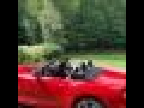 2006 BMW Z4M Roadster Review