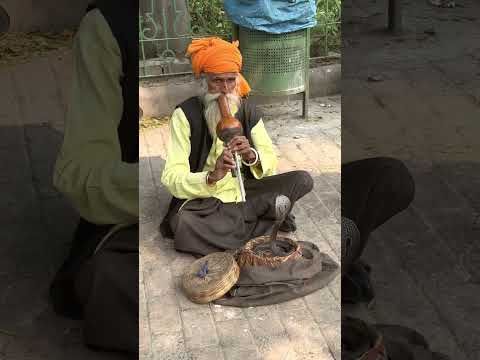 Snake Charmer in Delhi