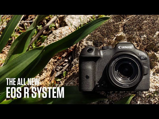 Canon EOS R10 24.2MP + Objectif RF-S 18-45mm F4.5-6.3 IS STM + Adaptateur EF-EOS R MT video
