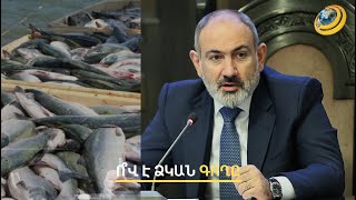 Սիգի հետ հարաբերվող պետություն, որի փողերն ով ասես գողանում է