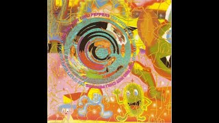 Red Hot Chili Peppers - Funky Crime