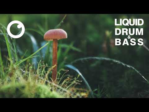 Liquid Drum & Bass Mix 2021 #39