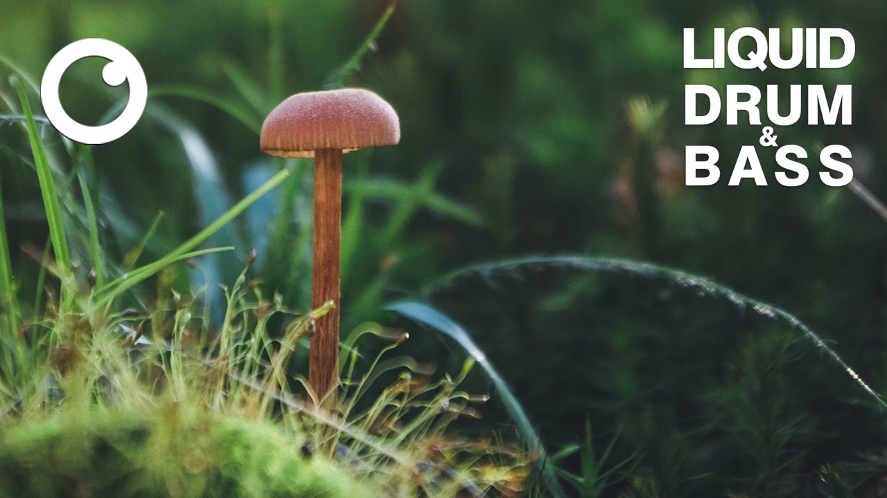 Liquid Drum & Bass Mix 2021 #39