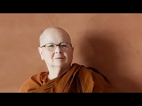 Simile of the Cloth (MN 7)