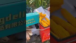 Download lagu කොහොමද මැශින් එක. සුපිරි නේද #agriculture #farming #technology #harvest #farmer #agriculturemachine mp3