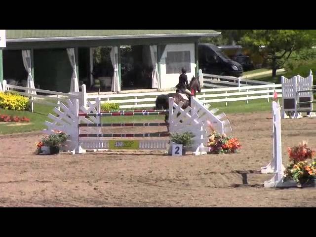 The half-brother of the mother of this frozen embryo is the CSI 1.60m jumping horse Kannan Lover with rider  Bianca Lafontaine.
