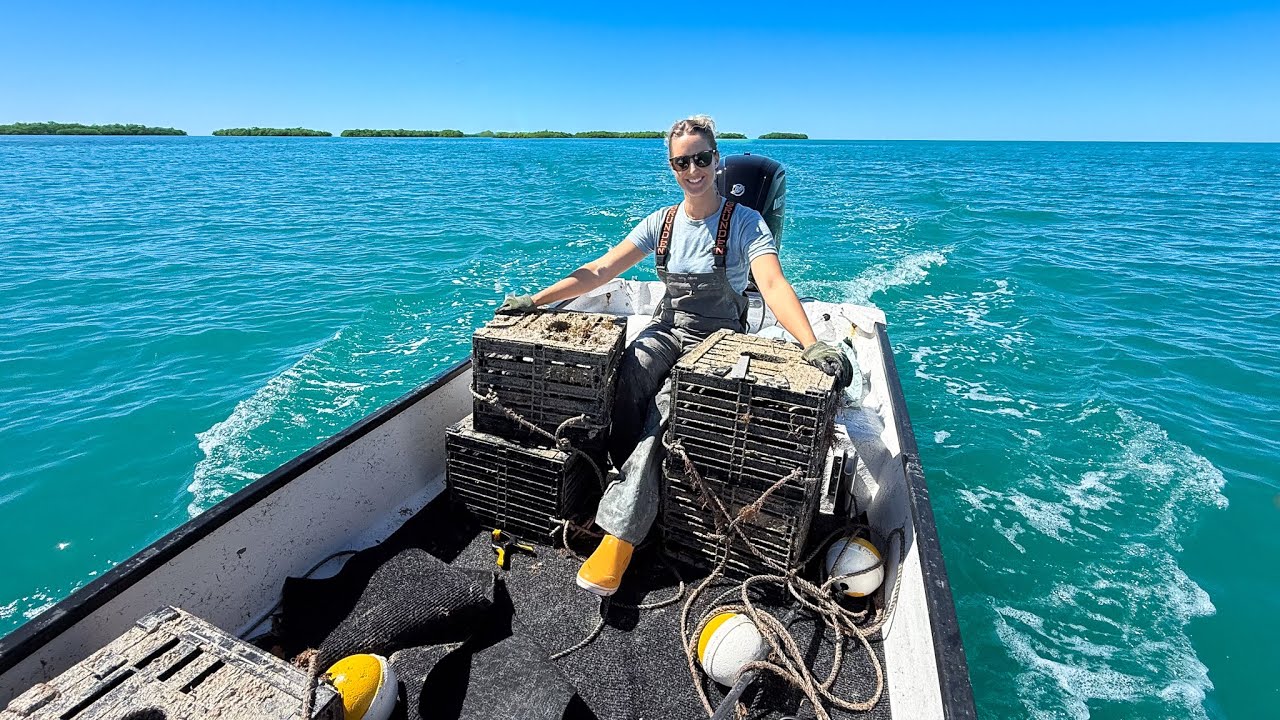 Weekly Chores - Stone Crab Pull & Set