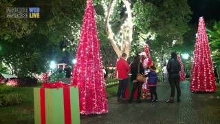 Promo Video - Madeira Christmas Lights 2015