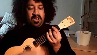 "Meant to be", Squirrel Nut Zippers - Ukulele cover