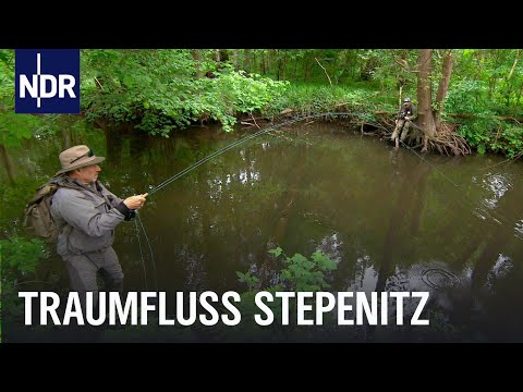 Video Thumbnail: Forellen und mehr: Fliegenfischen in der Stepenitz | Rute raus, der Spaß beginnt! | NDR Doku