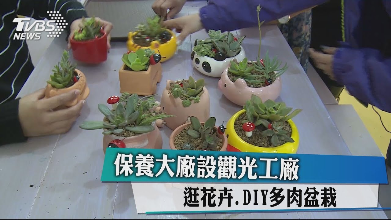 保養大廠設觀光工廠 逛花卉、DIY多肉盆栽