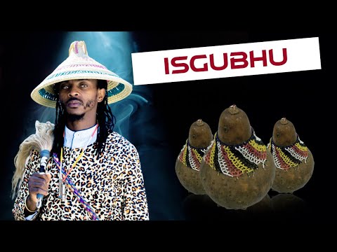 Isgubhu Sokudontsa Imali | Mkhulu Hoti