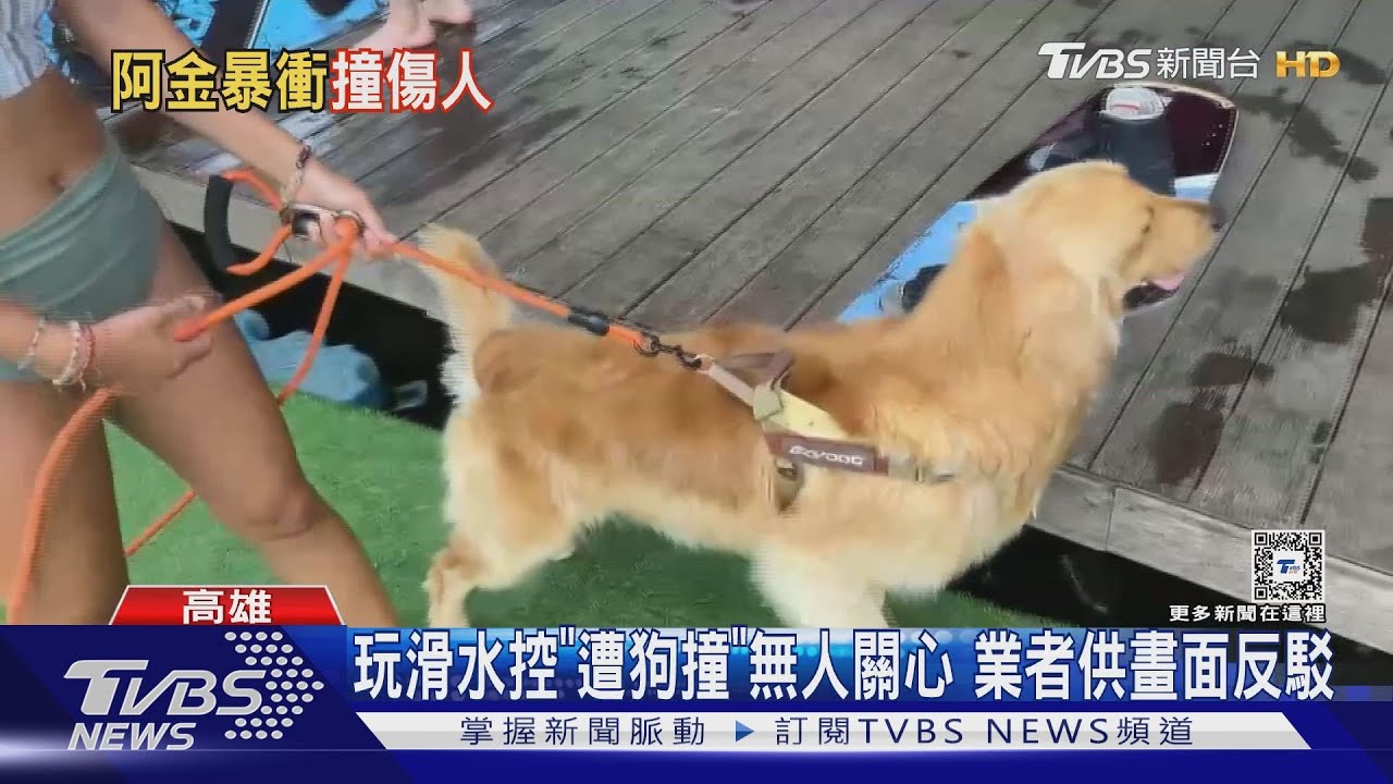 到蓮潭滑水　控「遭狗撞倒」無人關心！業者供監視器反駁