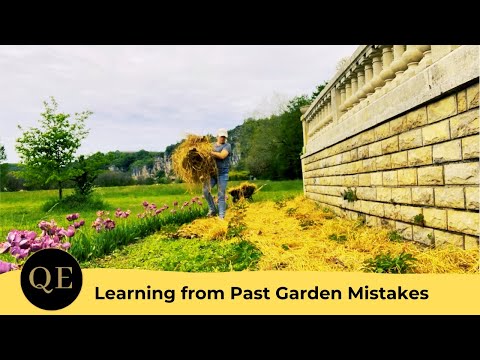 Improving our Gardening Game | Queen's Escape