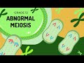 Abnormal Meiosis | Non-disjunction and the formation of Down syndrome