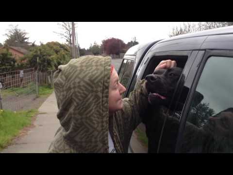 Adrienne Floreen gets licked in the face by a dog (Preview)