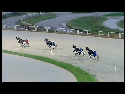 Napoli Trotto 28/11/2021 - 1ª prova di qualifica