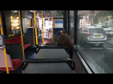 State Transit - 2984 - Scania K310UB/CC CB80 Series 2[Randwick](343 - Circular Quay)