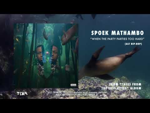 Spoek Mathambo - When The Party Parties Too Hard