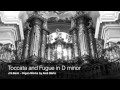 Bach - Toccata and Fugue in D minor organ - Aleš ...