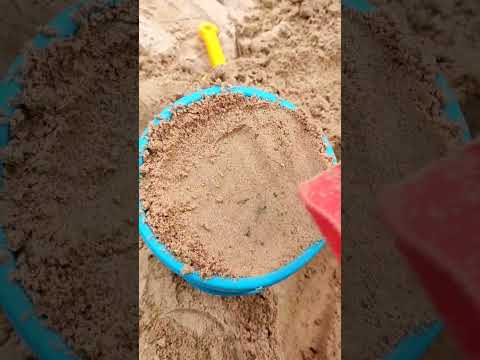 CONSTRUYENDO CASTILLOS DE ARENA🏖🏰