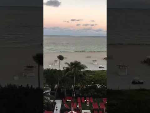 Seu Jorge - Black Service - Miami