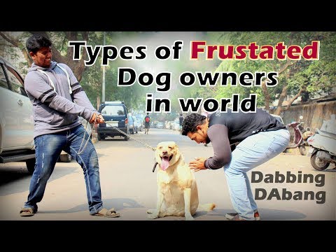 Types of Frustrated Dog Owners in the world