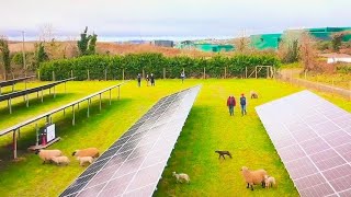 Insulex One Stop Shop News -   Solar Farming -